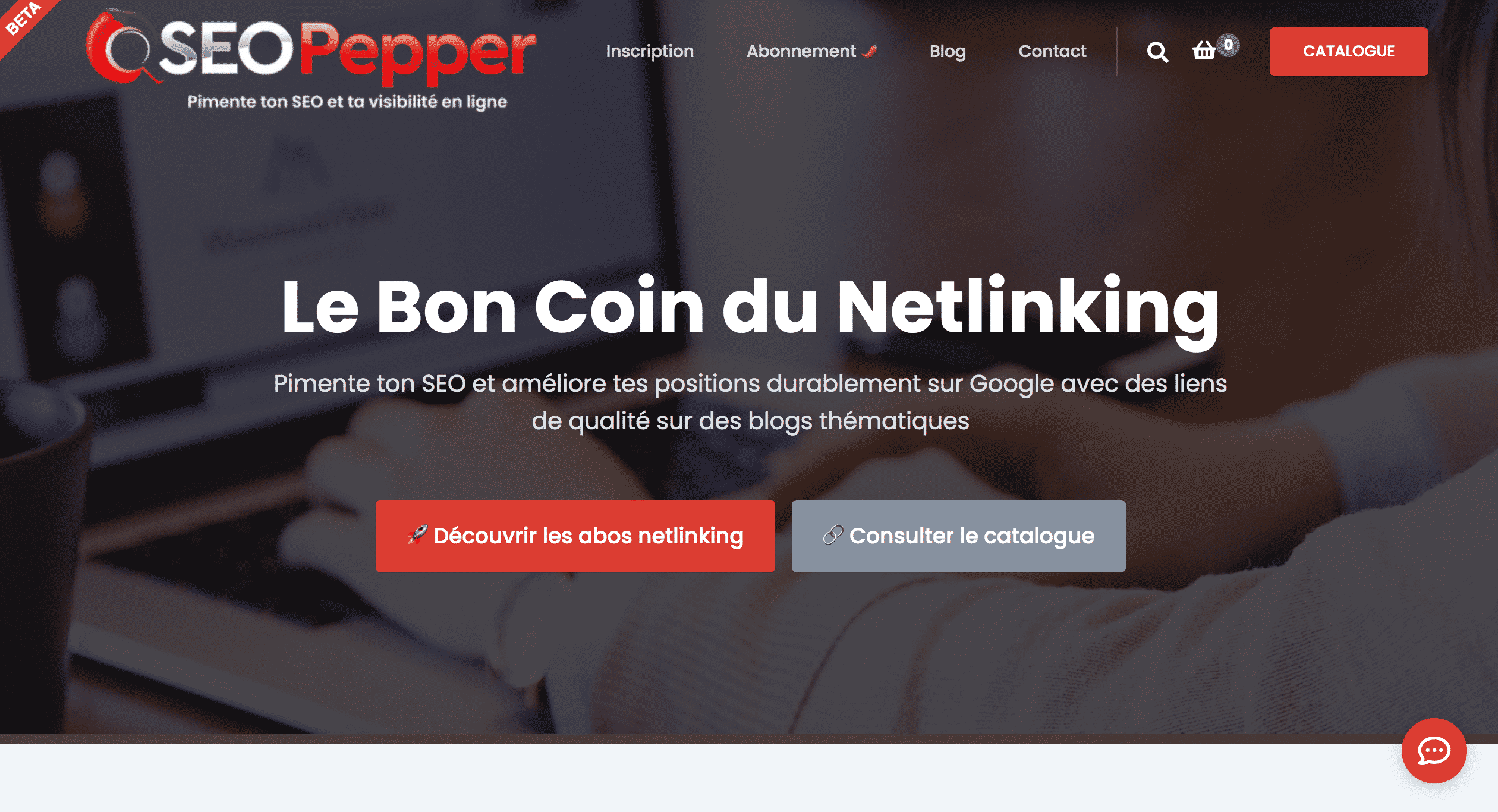 seopepper linkbuilding