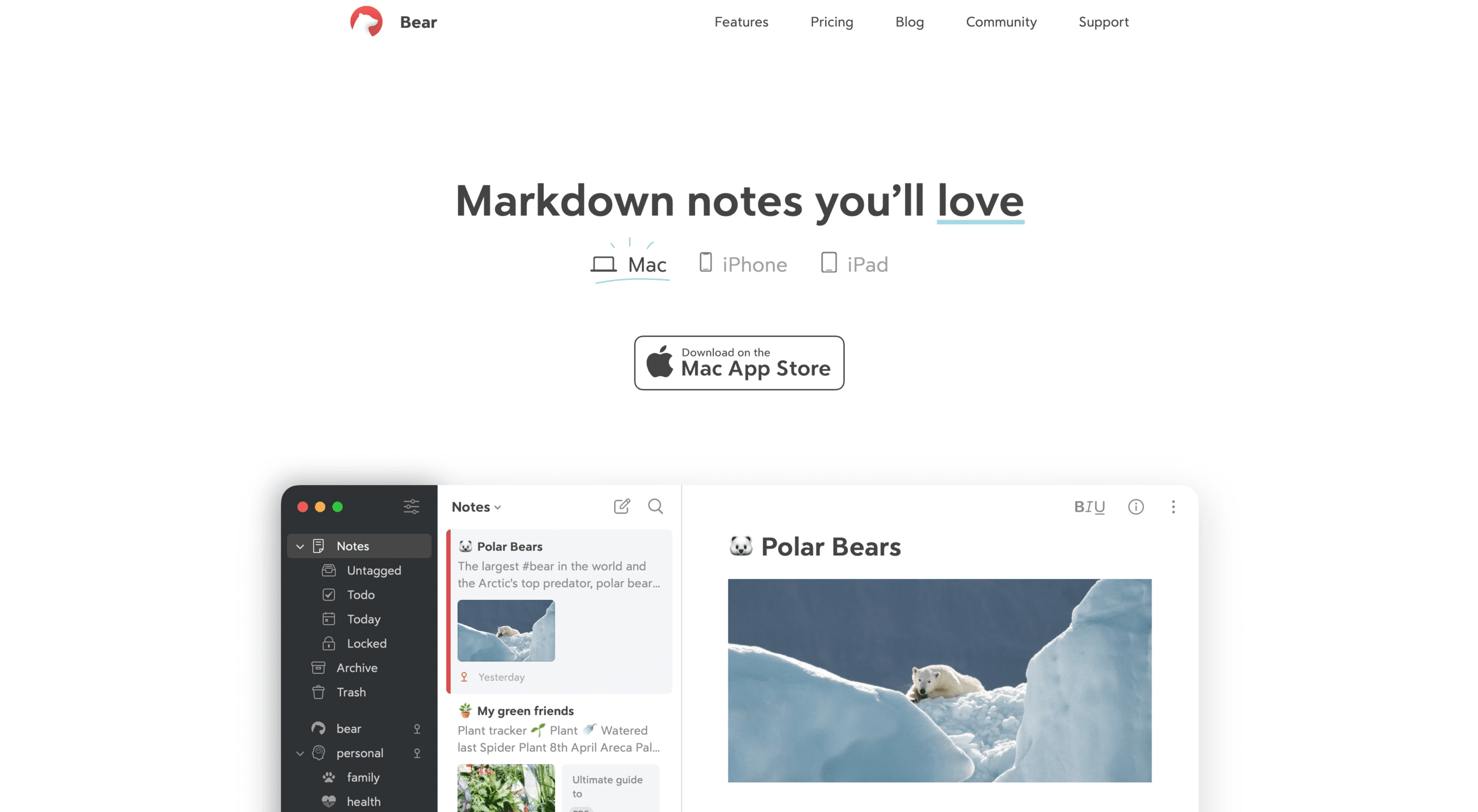 Bear prise de notes
