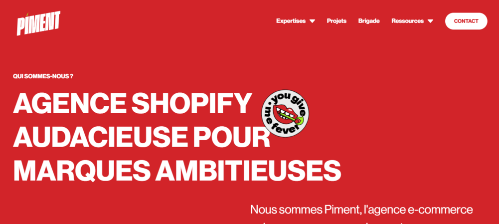 piment agence web bordeaux