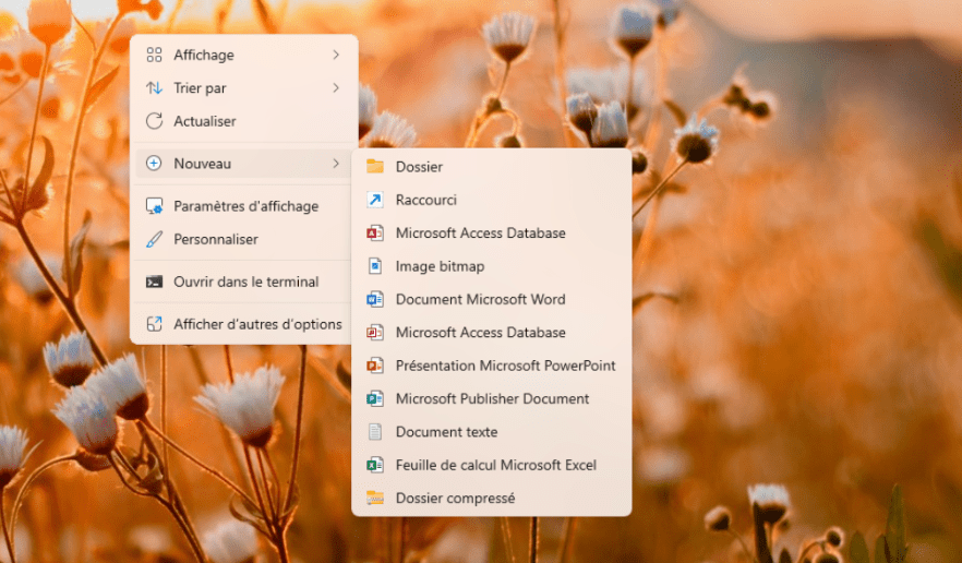 fygr logiciel de gestion financiere