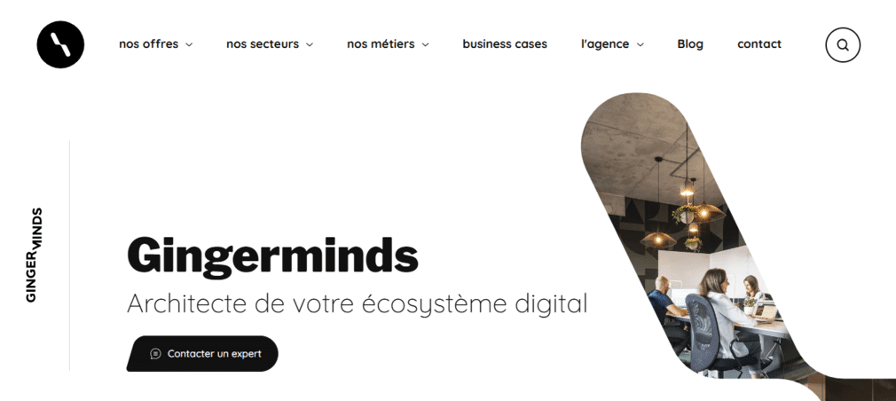 gingerminds agence web nantes