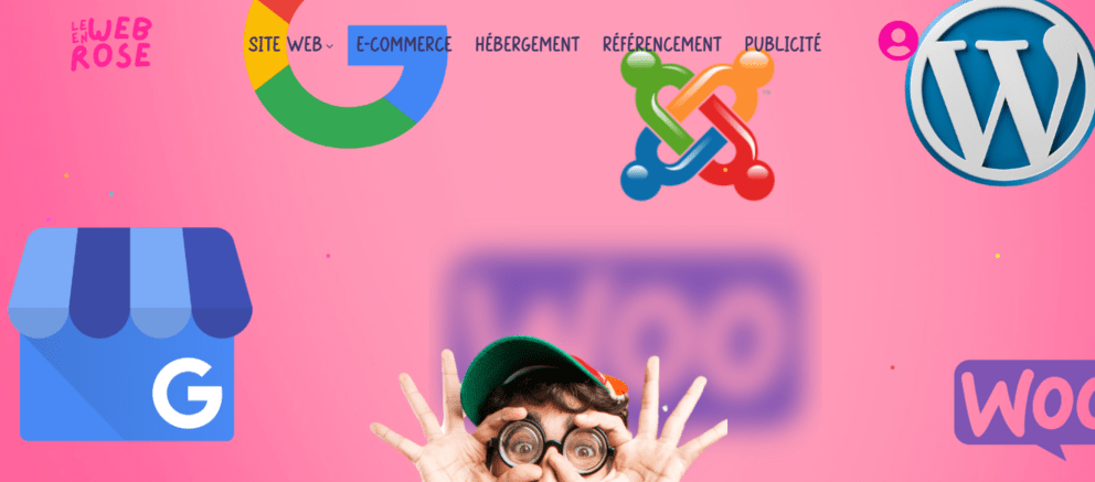 le web en rose agence web toulouse