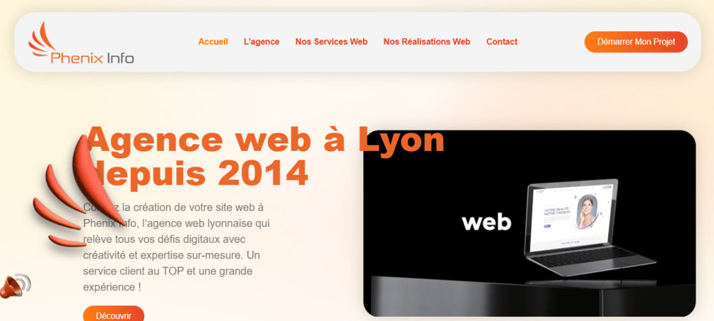 phenix info agence web lyon