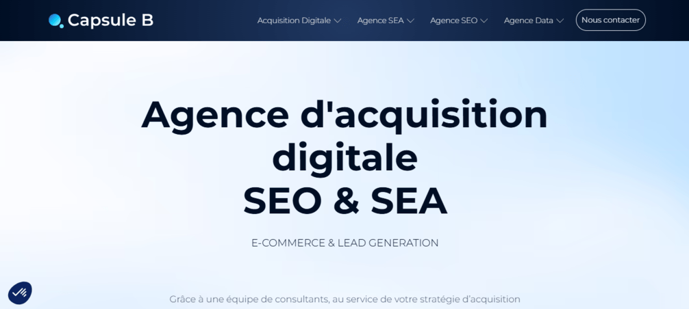 capsule agence seo lyon