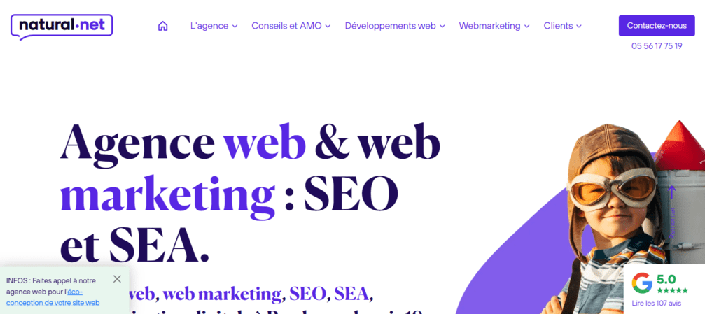 natural net agence seo bordeaux