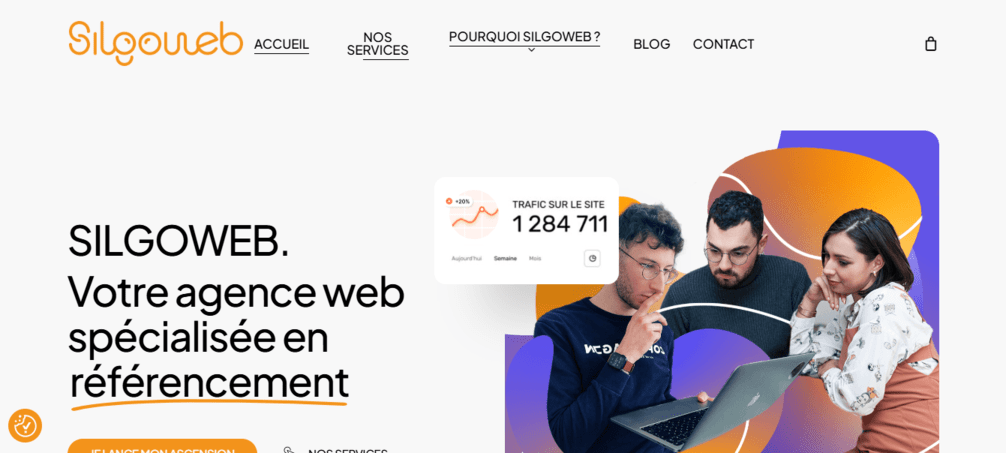 silgoweb agence seo toulouse